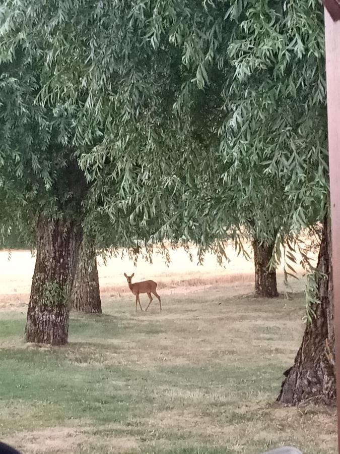 Chez Magali Villa Courtemaux Dış mekan fotoğraf